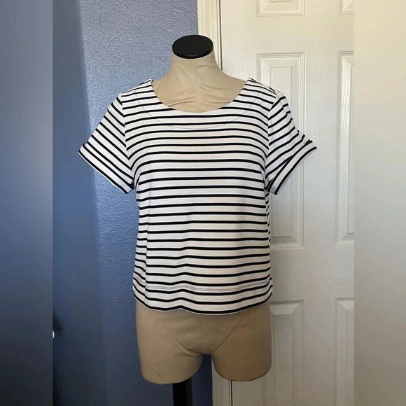 The Limited Striped Crop Top​​​​ - Picture 2 of 6